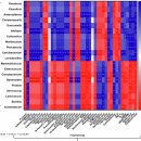 Re: 사이코바이오틱스 &#39;불안, 우울, 공황장애&#39; 등을 치료하는 발효!! 2025 네이처 이미지