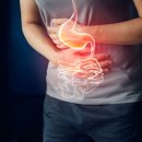 애니핏그라운드 이미지