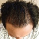 모힐의원 이미지