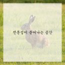 부곡중앙5길 이미지