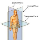 복싱 매니아 이미지