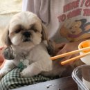 포구나무 민박 이미지