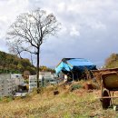 보문산로 이미지