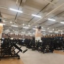 에코 휘트니스 이미지