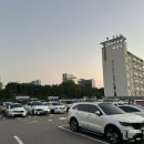 세마대풍천장어 이미지