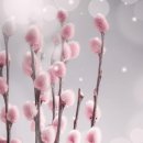 동남전기 - 의성군 중앙길 28 | 동남전기