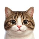 송민정세무사사무소