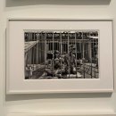 역사인물 탐구 활동가 양성과정 | 🇪🇸바르셀로나 현대 미술관 MACBA 관람 후기 (입장시간, 입장료, 무료 방문일 등)