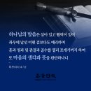 열왕기하 4:38 – 4:44 굶주린 자들을 먹이신 은혜의 기적 이미지 이미지