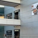 (봄맞이) 한입 요리 | 서울역회식 하기 좋은 독립밀방, 깔끔하고 맛있는 파스타와 요리들