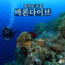 보홀 스킨스쿠버 다이빙샵 추천 바론다이브 내돈내산 후기