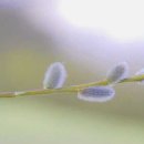 마중가는길 이미지