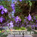 꽃샘길 화장실 | 꽃샘추위 비켜! 3월 실패없는 꽃구경 명소 아산 세계꽃식물원 실시간 후기