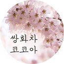 '제2 소라넷' 벗방 <b>팝콘</b><b>티비</b> 대주주 → 강남구청장...
