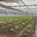 용성농약사 이미지