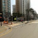 양천로 6길 Daum카페