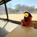 오독오독 반려견유치원 이미지