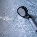 바스 이미지