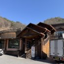 청풍황금송어 | 🐟 | 제천 포레스트 리솜 송어 맛집 청풍황금송어 후기