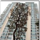 덕유파크 이미지