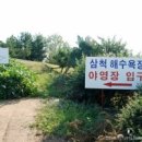 삼척해수욕장 이미지