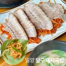 밀양 현지인 맛집 달구돼지국밥 l 수육찜 로컬 맛집 내돈내산