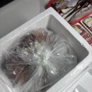 남해촌캉스 이미지