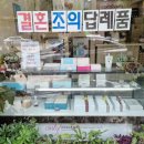 코코호도 봉선점