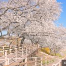 신경주역관광안내소 이미지