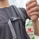 피자먹다(김제점) | 내맘대로 떠난 미니 국토대장정-5 (완)