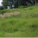 강원장의사 이미지