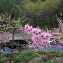 사곡 2리 이미지