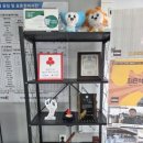 포항자동차정비