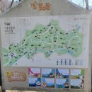 벚꽃 명소 서울대공원 동물원 레서 판다 후기(피크닉, 코끼리 열차, 스카이 리프트 정보)