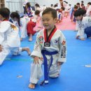 단군태권도장 이미지