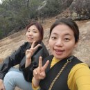 영암초중고길 | 전남 3월 가볼만한곳 영암왕인박사 축제 벚꽃 개화 상황 직접 다녀왔어요~ 주소 주차장