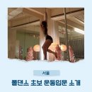 솔폴댄스 | 신도림 솔폴댄스 로망이던 폴댄스 도전 후기