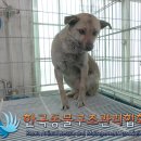 가능로 이미지