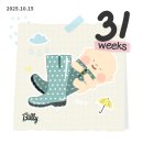 소향로253번길 | [임신 31-32주차] 미즈메디 31주 정기 검진, 후기 단축근무 시작, 정부지원 산후도우미 예약, 임신 후기...