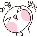 진주도배공사 이미지