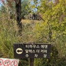 이천카페,이천대형카페 추천 : 티하우스 에덴 넓은 정원이 예쁜 이천 힐링카페 방문후기