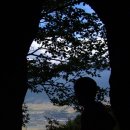 진달래산천 이미지