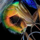 EFC PC ZONE National Geographic