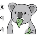 신짜오삼척베트남쌀국수 이미지