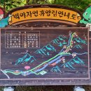 백야자연휴양림 이미지