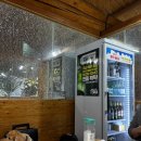 대륙수산 | 속초 횟집 애견동반 식당 '신대륙횟집' 대게 맛집 내돈내산 후기