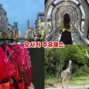 일본 오사카 여행 가볼 만한 곳 주유패스 가격 사용법 사용처