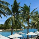 애플팸럭셔리풀빌라리조트 | 나트랑 아미아나 리조트 깜란 럭셔리 풀빌라 객실 솔직후기