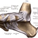 양산부부한의원 이미지