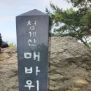 소담채 이미지